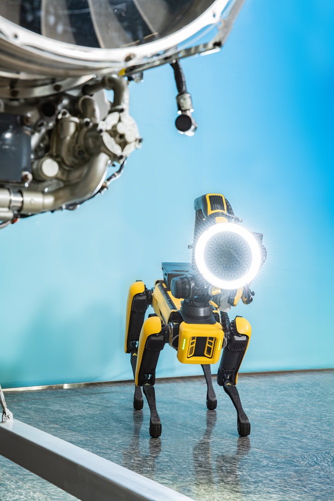 Frontale Ansicht des gelben Roboterhundes, der den Sensor hält.