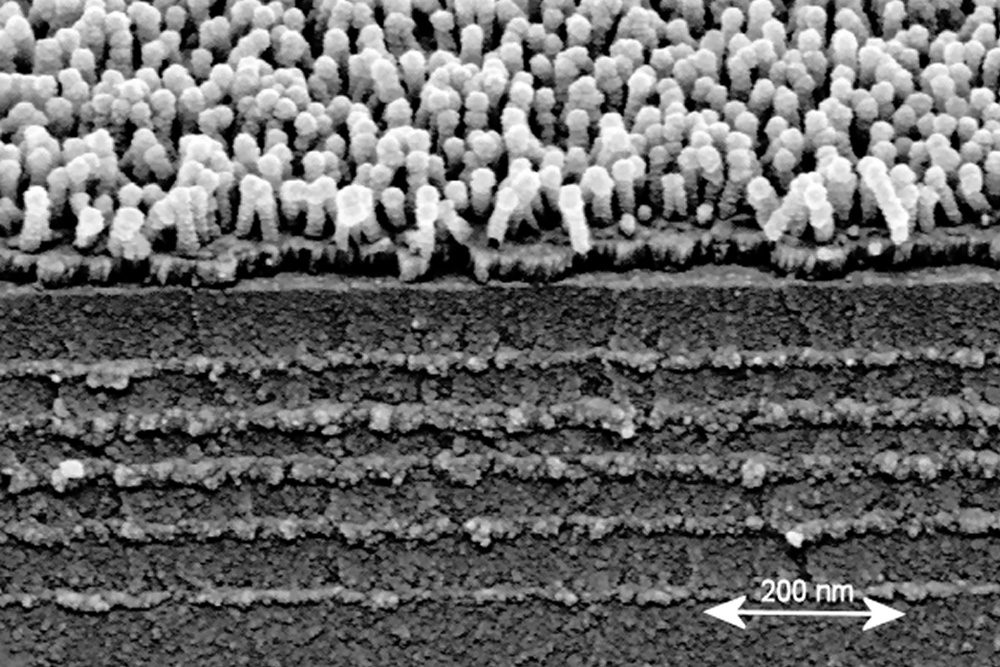 Scanning electron micrograph of interference stack with nanostructured organic layer as the top layer.