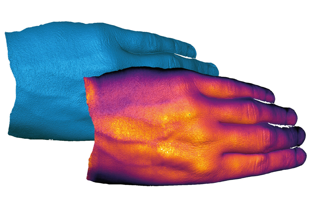 3D model of a human hand.