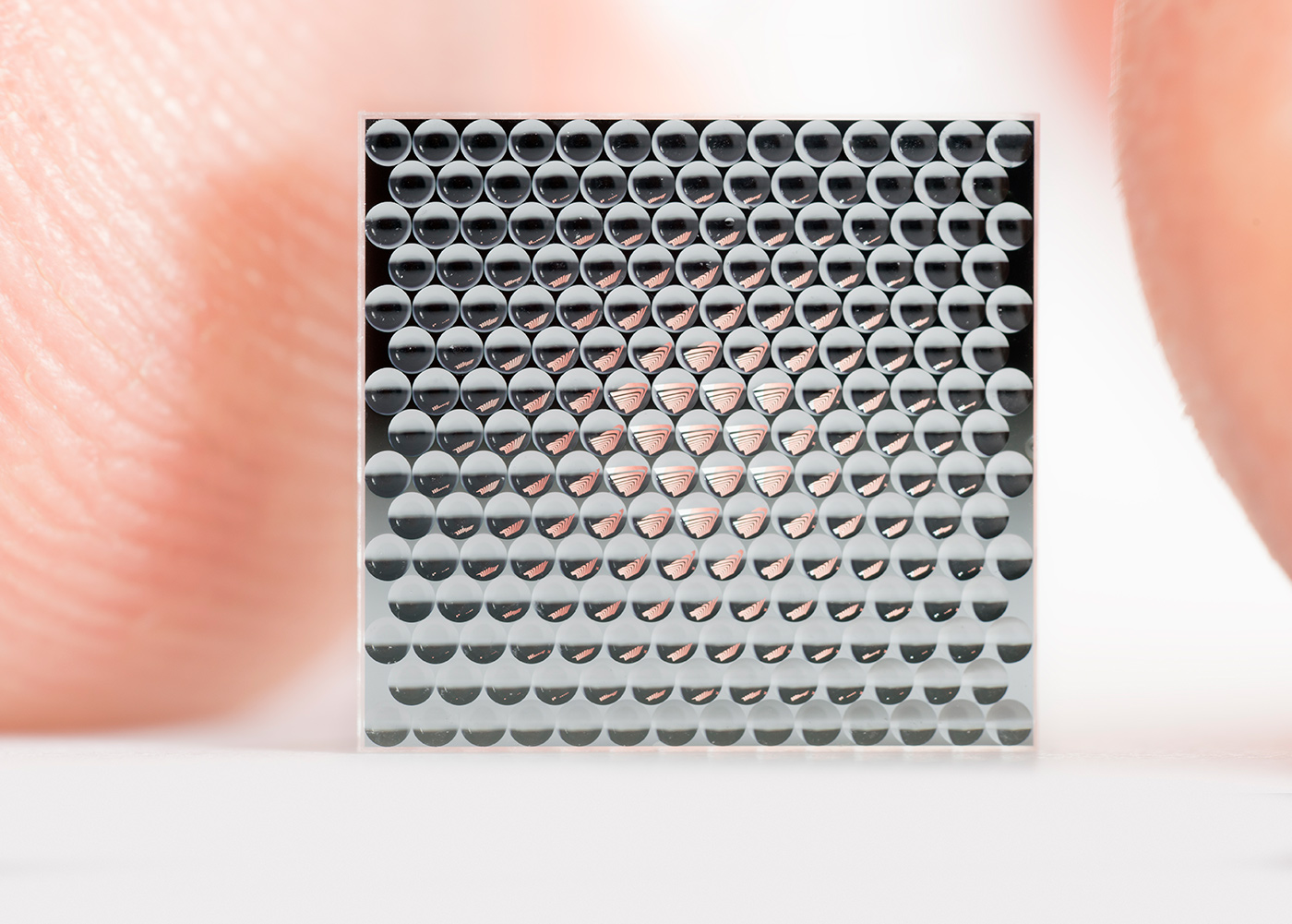 Mikrolinsen-Array entwickelt im Fraunhofer IOF.