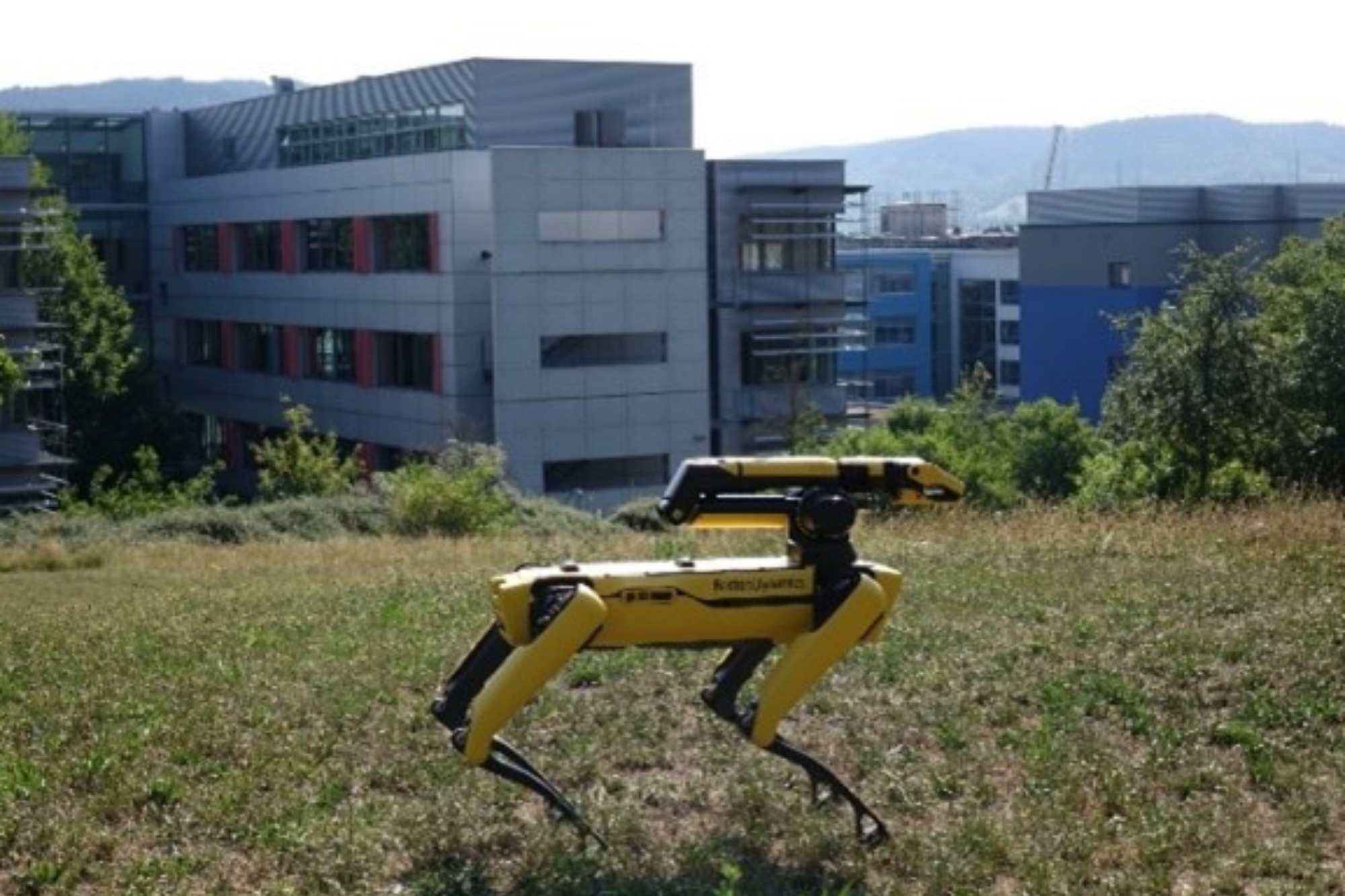 Ein Schreitroboter im offenen Gelände