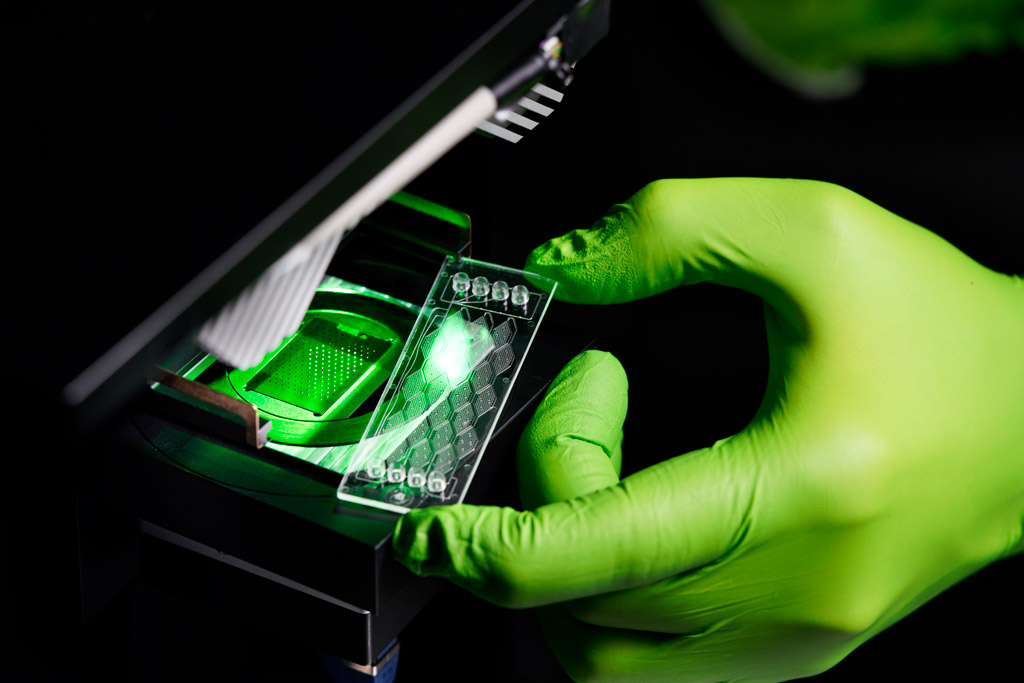 Ultra-kompaktes digitales Durchlichtmikroskop für Anwendungen in der Biomedizin.