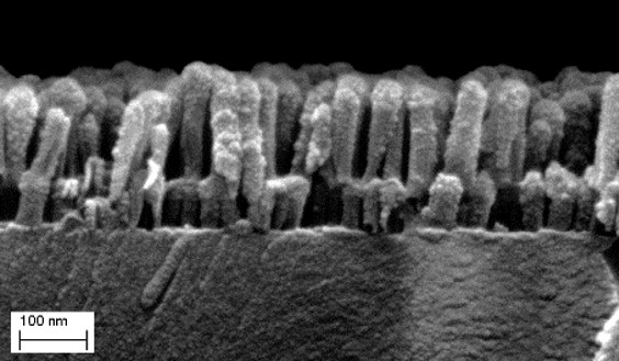 Rasterelektronenaufnahme einer Nanostruktur.