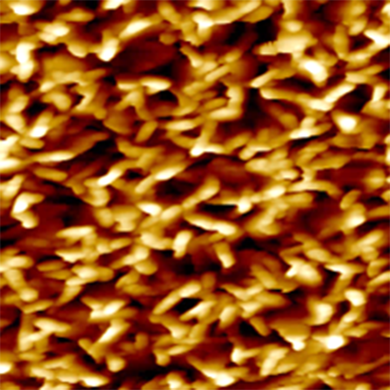 Oleophobic Al2O3 sol-gel coating: topography.