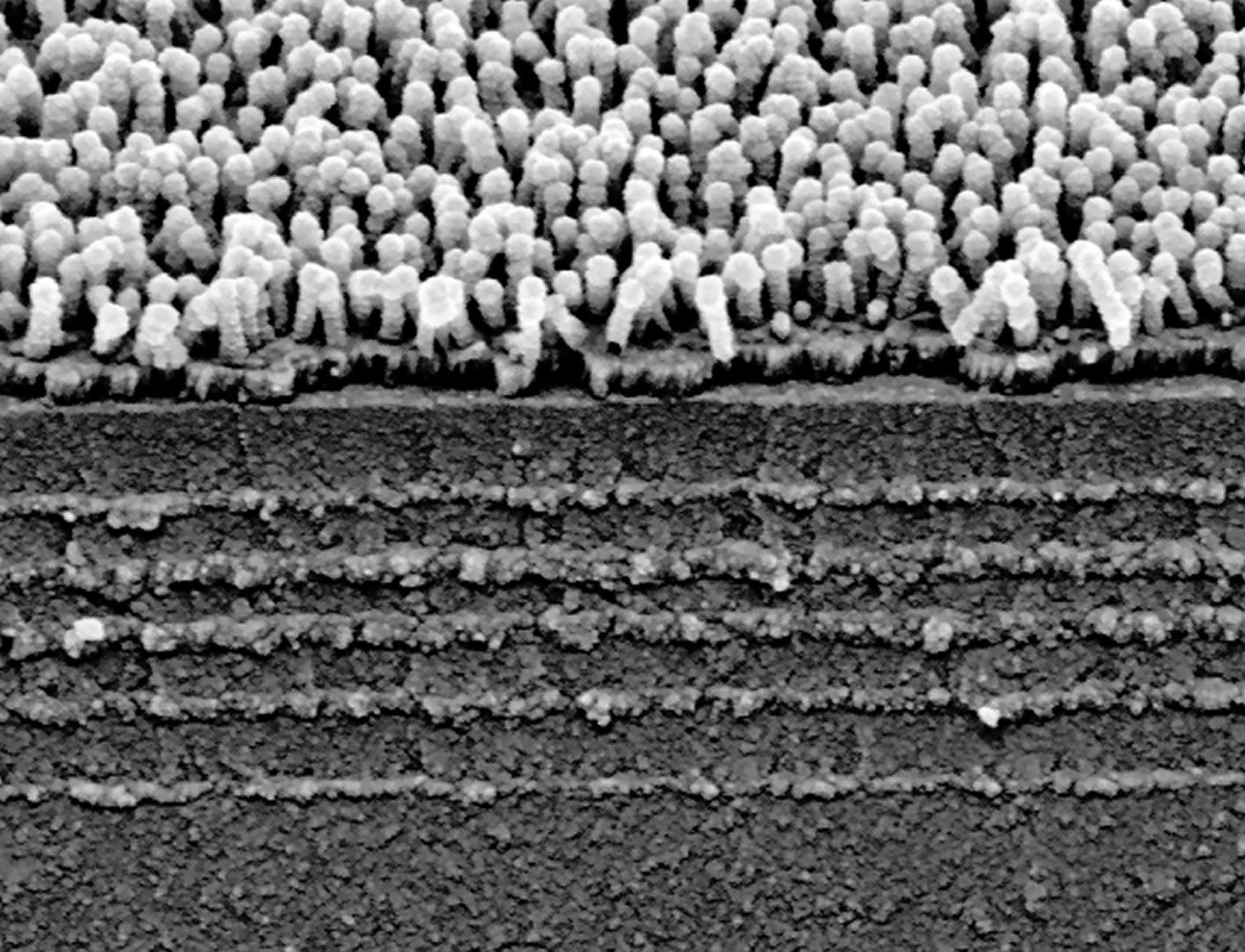 Fig. 2: Scanning electron micrograph of interference stack with nanostructured organic layer as the top layer. Fig. 2: Scanning electron micrograph of interference stack with nanostructured organic layer as the top layer.