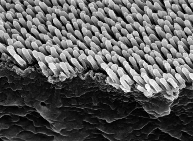 Nanostructured surface consisting of Uracil/SiO2.