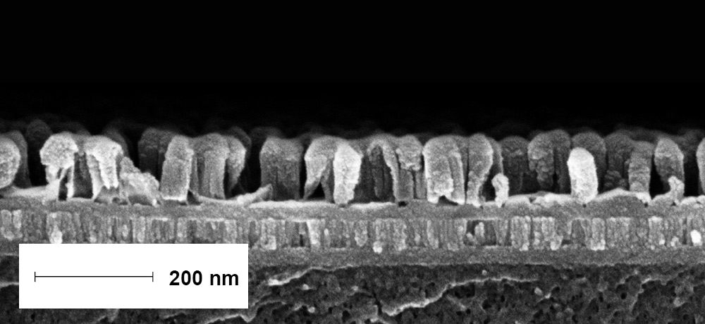 Fig. 3b: Example for AR-coating AR-plas2®.