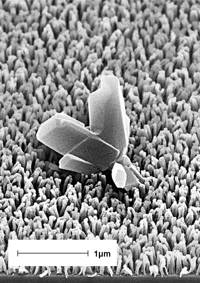 Fig. 1a: Nanostructured organic layers: unproteced, crystals are grown after six months storage.