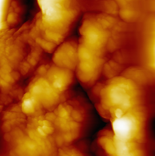 Topography implant: Atomic-Force-Microscopy (3C).