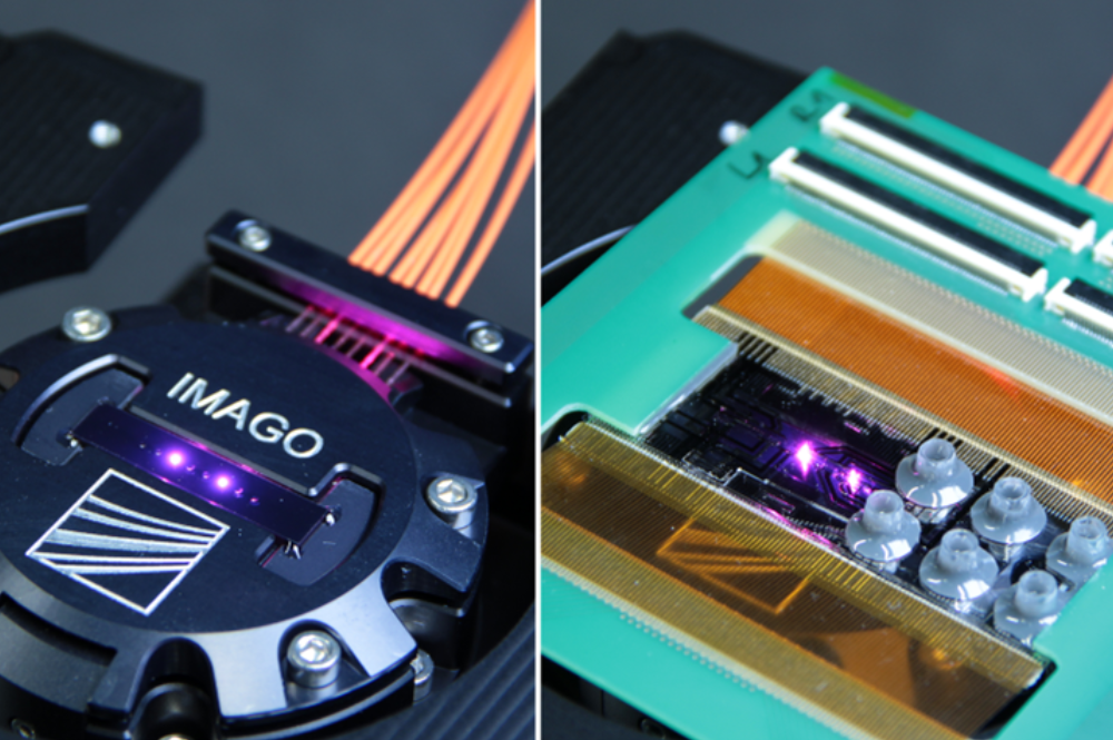Bio-photonic sensors, cell analysis, microscopic imaging, microfluidics, quantum-based detection: mini devices the size of cents and euro coins are connected with orange cables. A purple light diode can be seen in the devices.