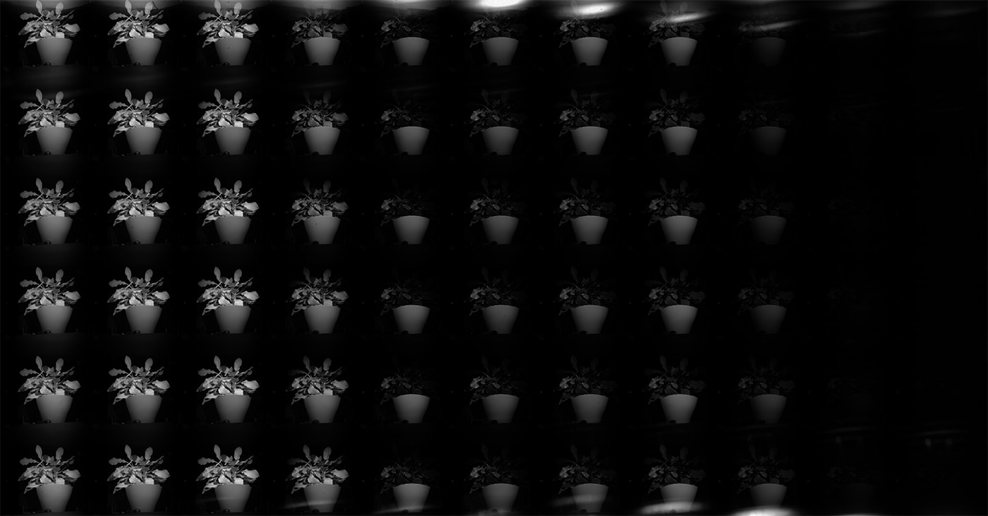 Simultanous recording of 66 parallel imaging channels with different transmission wavelengths.