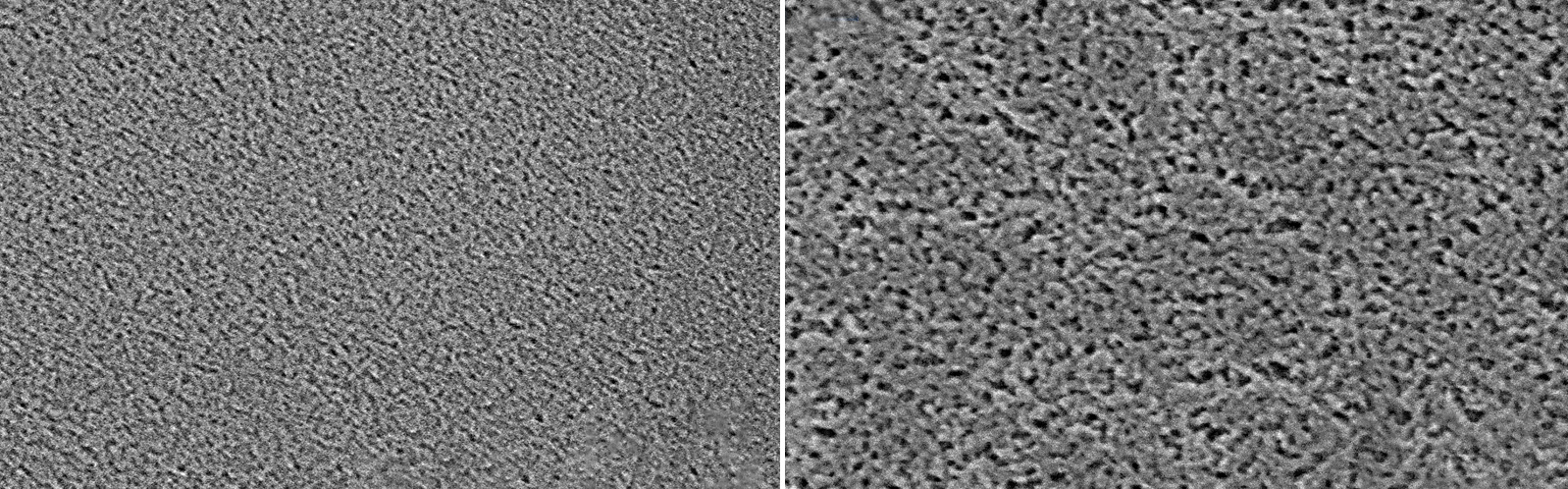 SEM images of nanoporous SiO2 made by ALD.