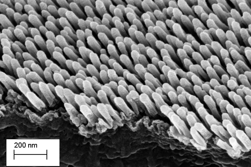 SEM image of a plastic surface structured twice with AR-plas2.