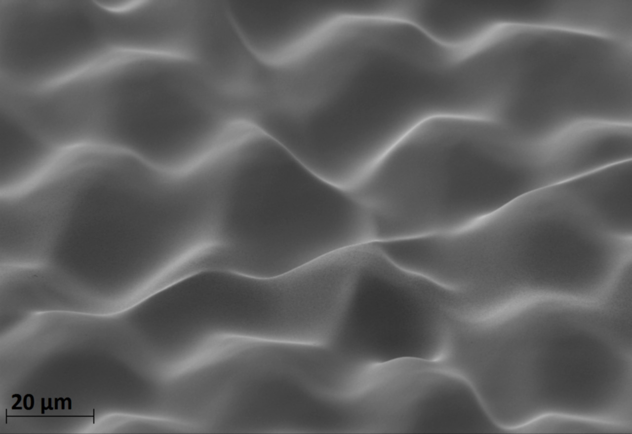 Diffuser&#39;s surface relief structure (SEM image).